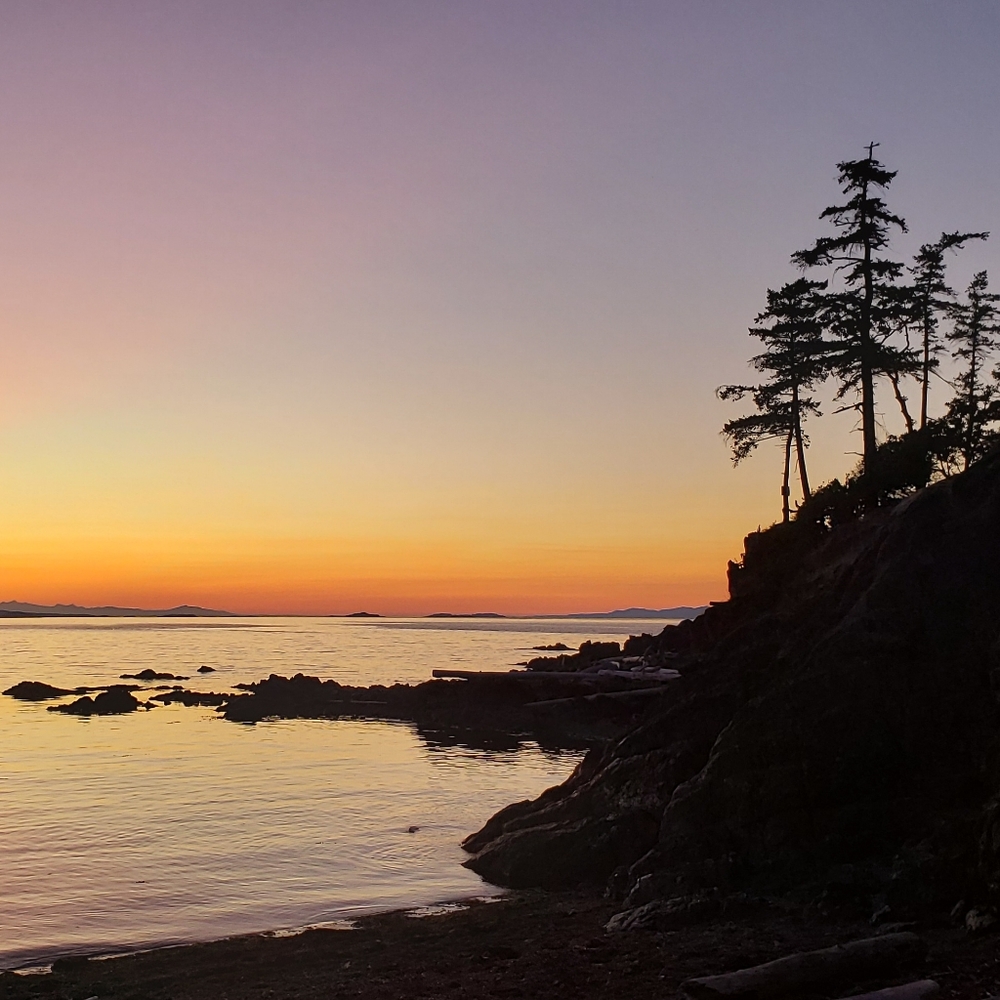 Meet your Posher, Marie